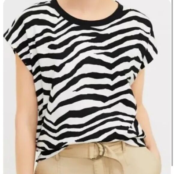 NWT Loft Zebra Print Tee Short Sleeve S Cotton Animal Print Retro Safaris - Picture 4 of 16